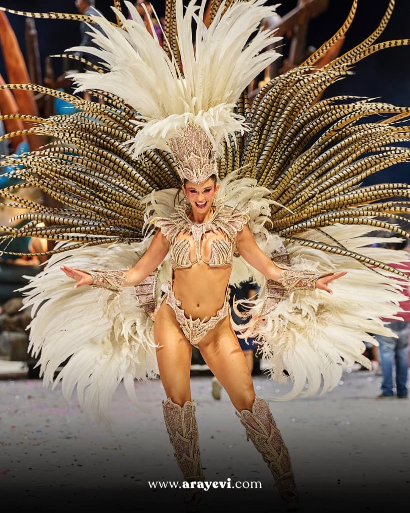 Integrante carnaval