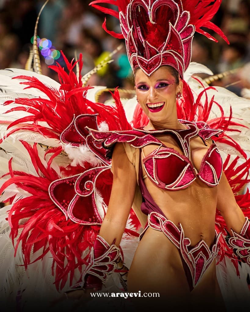 Integrante carnaval